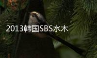 2013韩国SBS水木剧《主君的太阳》更新第17集[韩语中字]